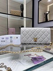 Fortok Chanel Wallet On Chain WOC Attached Ball Light Grey 19cm - 1