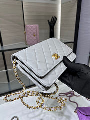 Fortok Chanel Wallet On Chain WOC Attached Ball Light Grey 19cm - 5