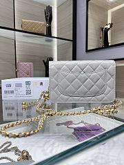 Fortok Chanel Wallet On Chain WOC Attached Ball Light Grey 19cm - 3