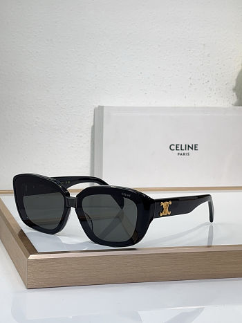 Fortok Celine Sunglasses CL42125U Multicolor