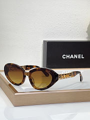 Fortok Celine Sunglasses CH5537Q Multicolor - 2