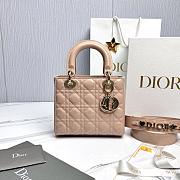 Fortok Dior My ABCDior Bag Powder Beige Patent Leather 20.5*8.5*17cm - 1