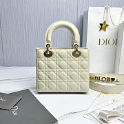 Fortok Dior My ABCDior Bag Latte Canage Patent Leather 20.5*8.5*17cm - 2
