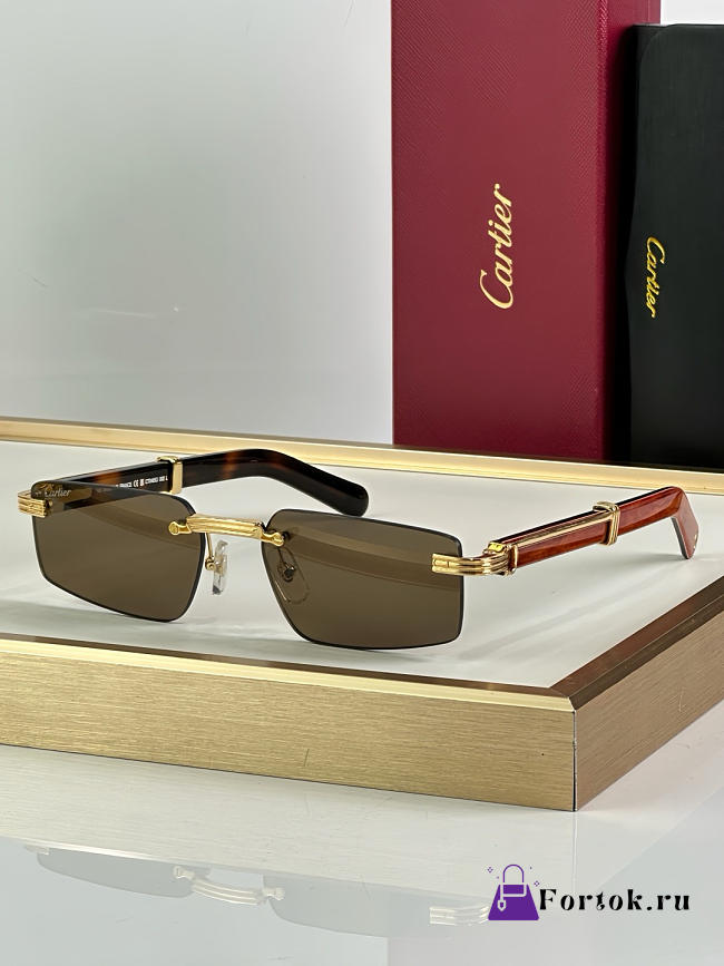 Fortok Cartier CT0485O Sunglasses Brown - 1