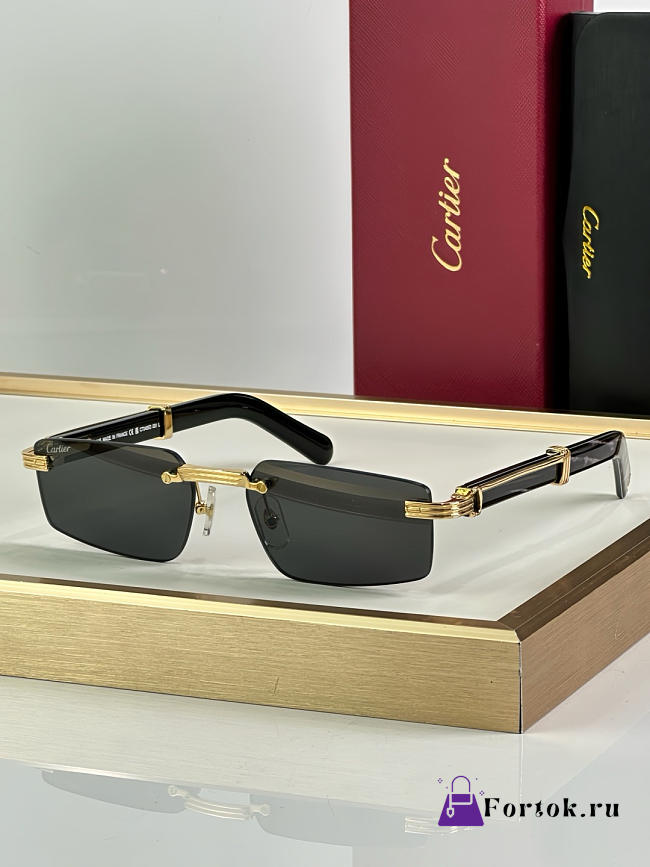Fortok Cartier CT0485O Sunglasses Black - 1
