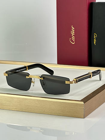 Fortok Cartier CT0485O Sunglasses Black