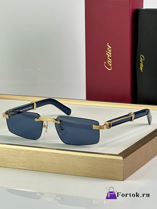 Fortok Cartier CT0485O Sunglasses Blue - 1