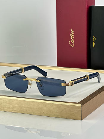 Fortok Cartier CT0485O Sunglasses Blue