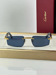 Fortok Cartier CT0485O Sunglasses Blue - 6