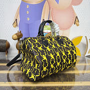 Fortok Louis Vuitton x Keith Haring Speedy 30 Cruise 2027 collection 30*17*21cm - 6