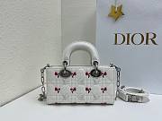 Fortok Dioramour Lady D-Joy Mini Bag White Cannage Lambskin Embroidered with Multicolor Doves & Roses Motif 19x10x5.5cm - 6