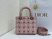 Fortok Dior Small Lady Dior Bag Pink Cannage Lambskin Embroidered with Multicolor Doves & Roses Motif 18 x 15 x 7 cm - 6