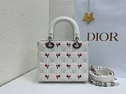 Fortok Dior Small Lady Dior Bag White Cannage Lambskin Embroidered with Multicolor Doves & Roses Motif 18 x 15 x 7 cm - 3
