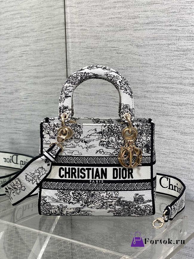 Fortok Dior Lady D-Lite Medium Bag Plan de Paris Embroider 24*11*20cm  - 1