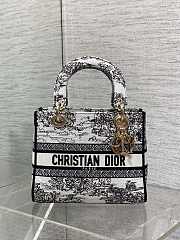 Fortok Dior Lady D-Lite Medium Bag Plan de Paris Embroider 24*11*20cm  - 5