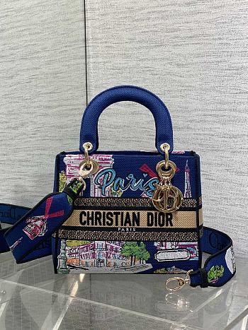 Fortok Dior Lady D-Lite Bag Vibrant Paris Souvenir Embroidery 24*11*20cm