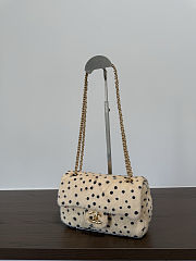 Fortok Chanel Pony Hair Cheetah Print Mini Flap Bag 12×20×6cm - 6