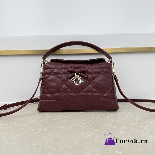 Fortok Dior Adiorable Top Handle Mini Bag Burgundy 22.5 x 13 x 9cm - 1