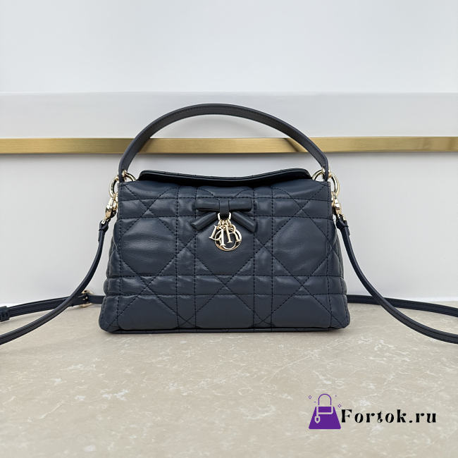 Fortok Dior Adiorable Top Handle Mini Bag Midnight Blue 22.5 x 13 x 9cm - 1