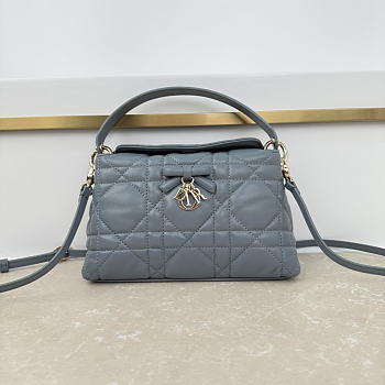 Fortok Dior Adiorable Top Handle Mini Bag Haze Blue 22.5 x 13 x 9cm