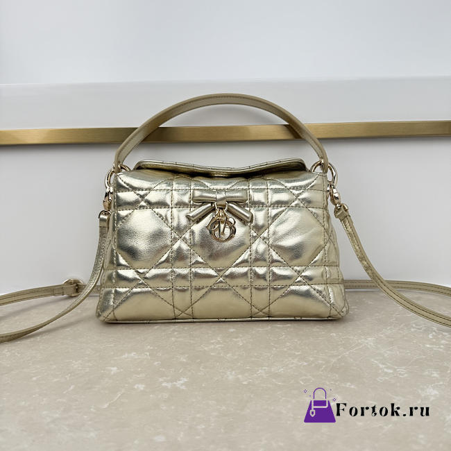 Fortok Dior Adiorable Top Handle Mini Bag Metallic Gold 22.5 x 13 x 9cm - 1