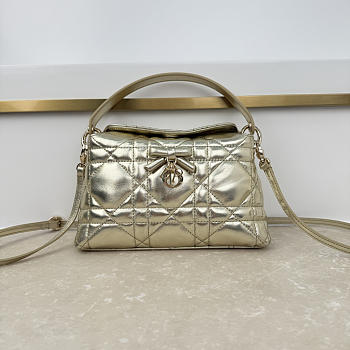 Fortok Dior Adiorable Top Handle Mini Bag Metallic Gold 22.5 x 13 x 9cm