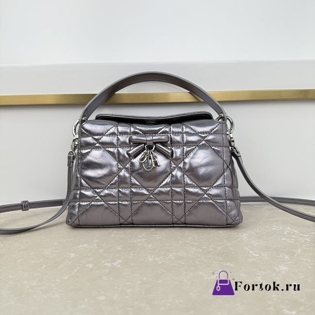Fortok Dior Adiorable Top Handle Mini Bag Metallic Silver 22.5 x 13 x 9cm - 1
