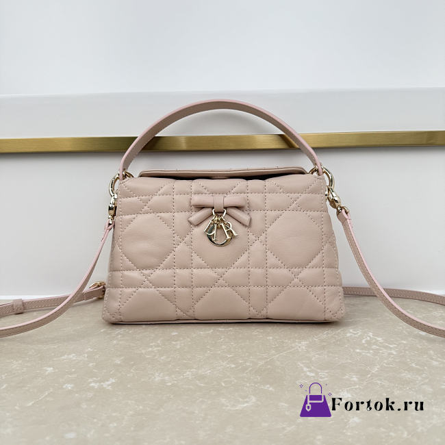 Fortok Dior Adiorable Top Handle Mini Bag Blush Pink 22.5 x 13 x 9cm - 1