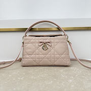 Fortok Dior Adiorable Top Handle Mini Bag Blush Pink 22.5 x 13 x 9cm - 1