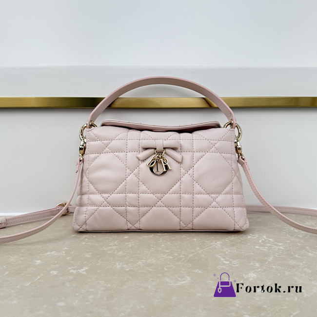 Fortok Dior Adiorable Top Handle Mini Bag Light Pink 22.5 x 13 x 9cm - 1