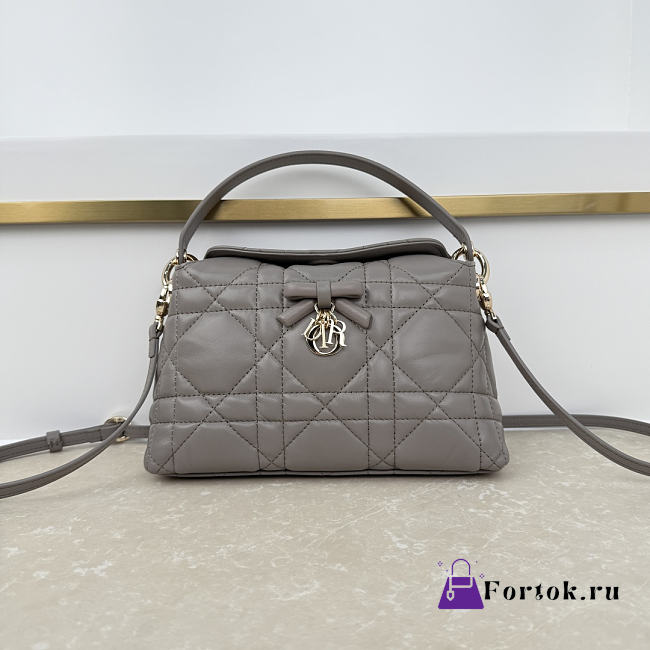 Fortok Dior Adiorable Top Handle Mini Bag Grey 22.5 x 13 x 9cm - 1