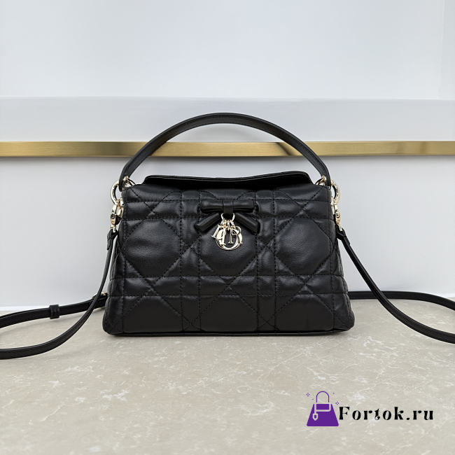 Fortok Dior Adiorable Top Handle Mini Bag Black 22.5 x 13 x 9cm - 1