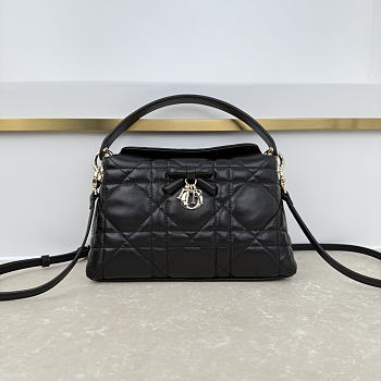 Fortok Dior Adiorable Top Handle Mini Bag Black 22.5 x 13 x 9cm